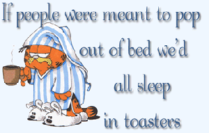 all-sleep-in-toasters